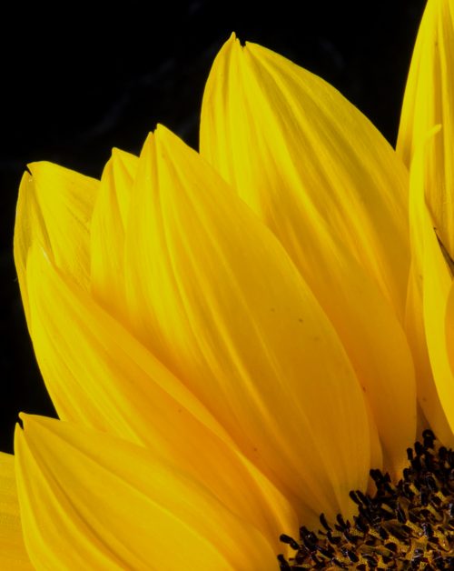 block image