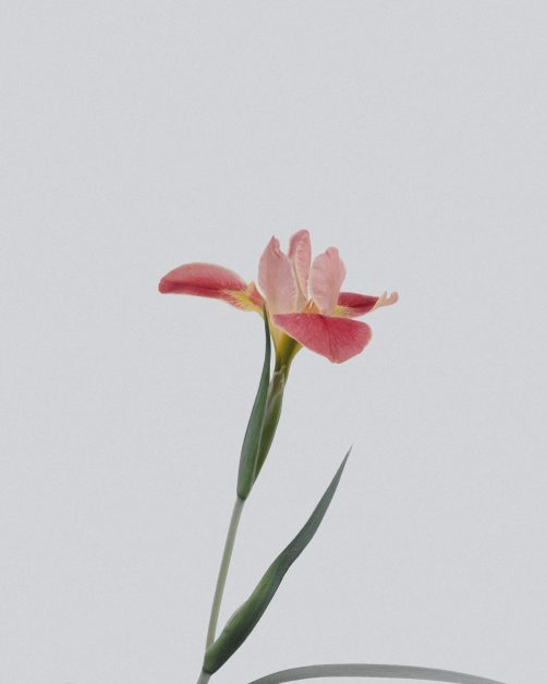 block image