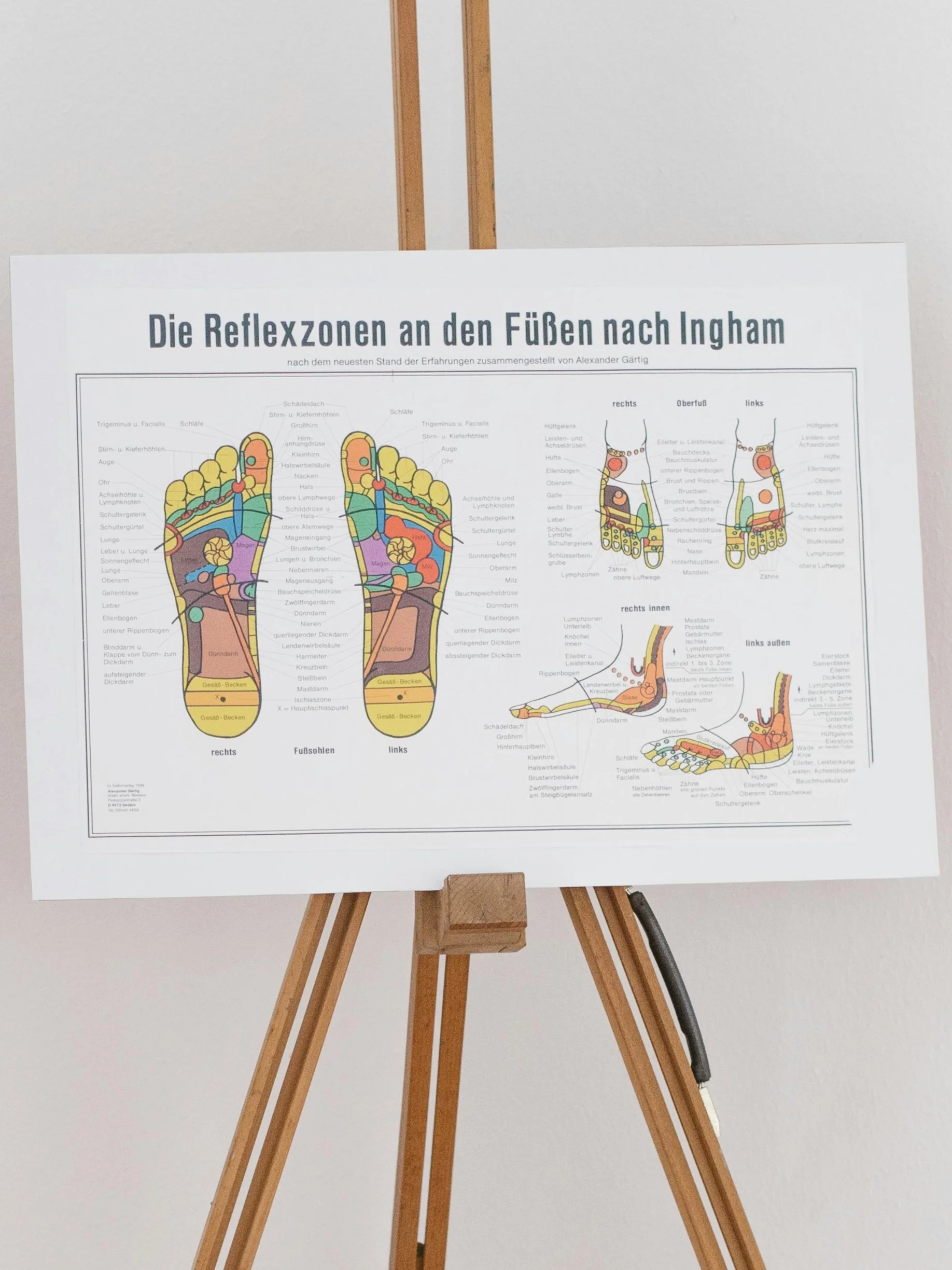 Eine Fußreflexzonen-Tafel auf einem Holzständer, die die Reflexzonen zeigt